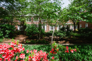 Forest Hills of DC